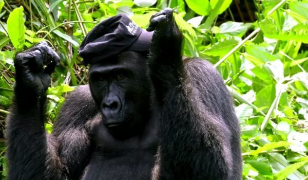 Epoch Times Photo