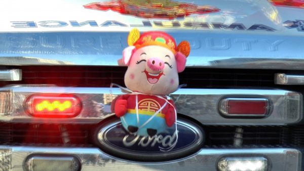 Pig-on-Bumper