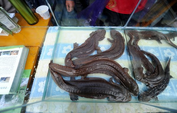 Epoch Times Photo