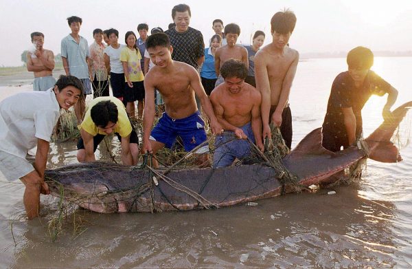 Epoch Times Photo