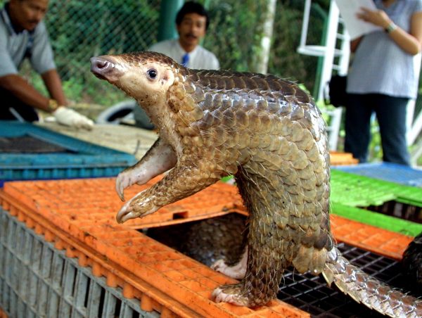 Epoch Times Photo
