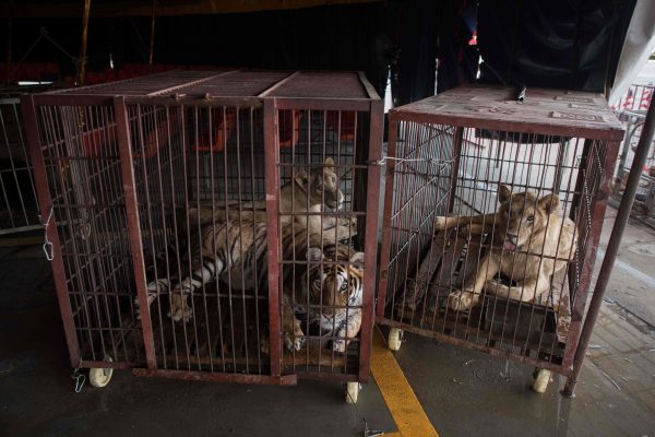 Epoch Times Photo