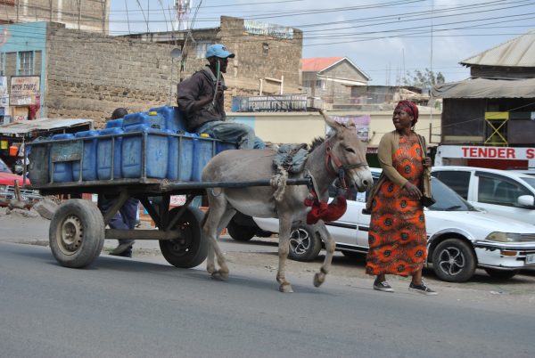 donkey is pulling cart