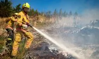New Zealand Wildfires Show No Sign of Easing, 3,000 Flee