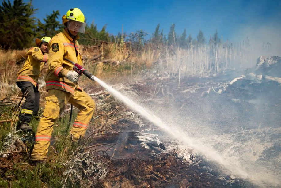 New Zealand Defence Force firefighters combat the Richmond fire near Nelson, South Island, New Zealand, Feb. 8, 2019. (Chad Sharman/New Zealand Defence Force/Handout via Reuters)