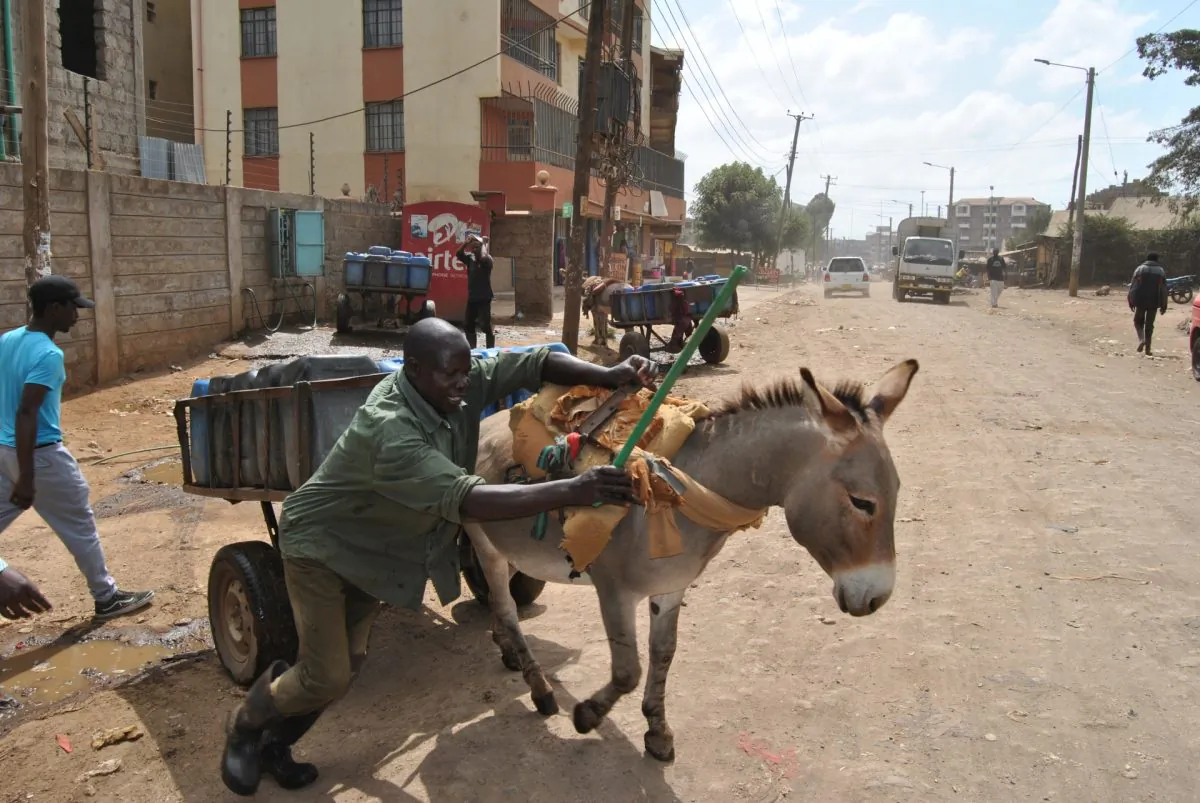 A water dealer helps his donkey pull the cart after filling water at a water point in Rongai, Kajiado county on Feb. 5, 2019.
(Dominic Kirui/Special to The Epoch Times)