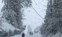 Strong Storm Brings Damage and Snow to Hawaii