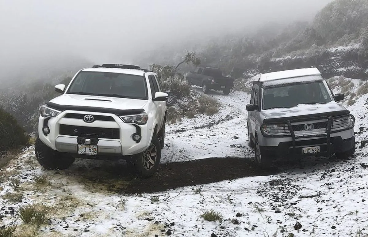 Officials said the coating at 6,200 feet in Maui might be the lowest-elevation snowfall in Hawaii. (The Associated Press)