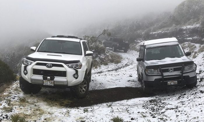 Officials said the coating at 6,200 feet in Maui might be the lowest-elevation snowfall in Hawaii. (The Associated Press)
