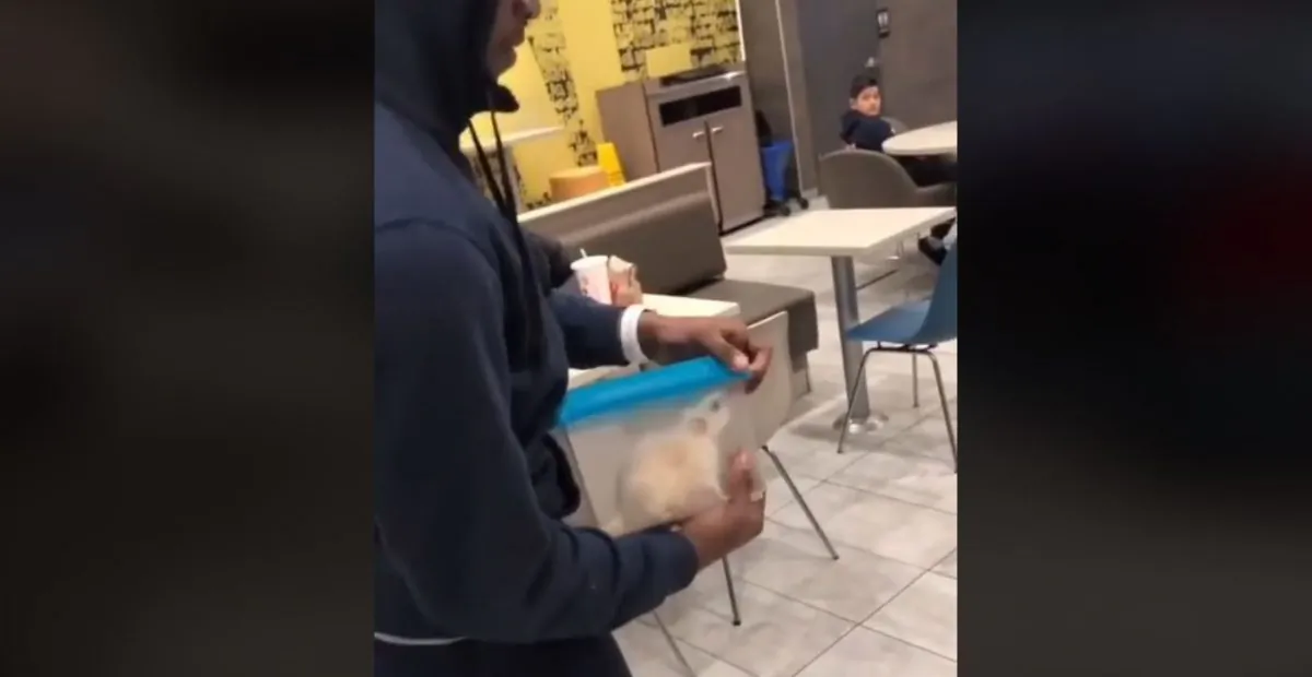 A rat was let loose in a Newark McDonald's in February, police confirmed. (Fe Bugout/Facebook)
