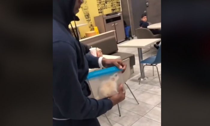 A rat was let loose in a Newark McDonald's in February, police confirmed. (Fe Bugout/Facebook)