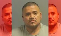 Man Charged After Duct-Taped Dog Found in Freezing Ditch in Missouri