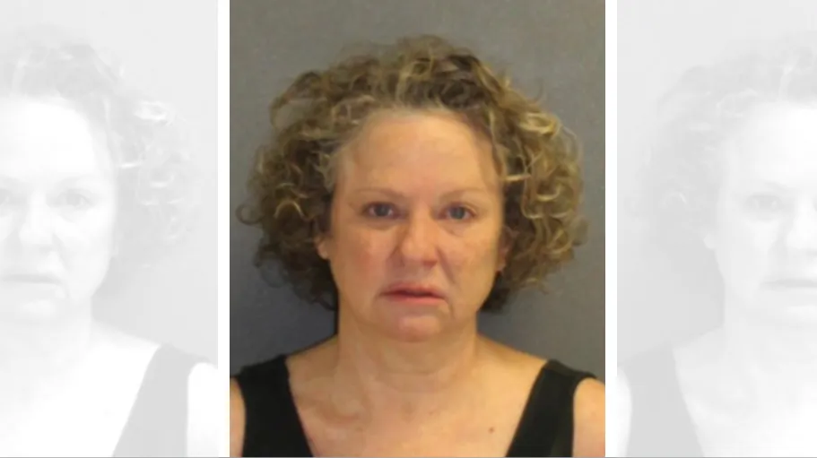 Florida woman Julie Edwards, 53, was arrested on charges of driving while under the influence in Volusia County, Fla. on Feb. 8, 2019. (Volusia County Sheriff's Office)