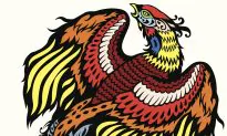 Han Hao Bird and the Winter Cold