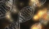 Rwanda Plans to Collect DNA From 12 Million Citizens in World’s First Nationwide Database