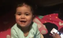 Colorado Toddler Dies After Falling Asleep in Car Seat