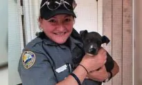 Tiny Puppy Rescued from a Freezing-Cold River Promptly Adopted by Police Officer