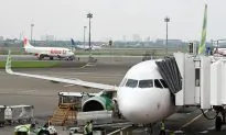 Scorpion Dangles From Overhead Bin on Valentines Day Flight