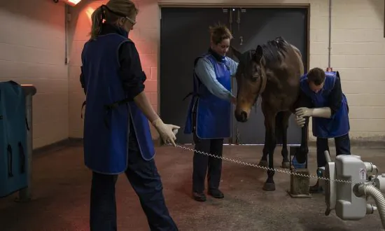Horses and Humans: Will We Ever Conquer Influenza?