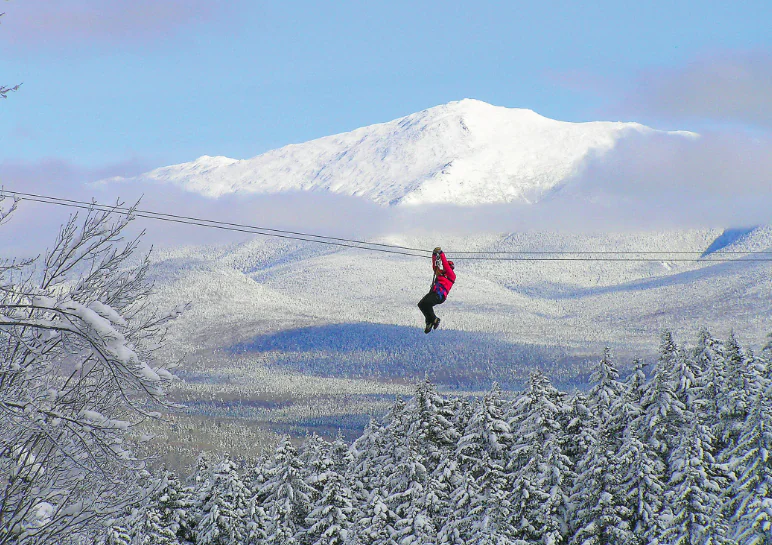 The Bretton Woods Canopy Tour offers a bird's eye view of scenic Rosebrook Canyon. (Courtesy of Omni Mount Washington Hotel)