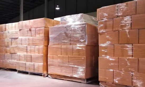 Customs Make Largest-Ever Seizure of World’s Most Trafficked Animal in Warehouse Freezer