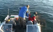 Kid Catches a Monster Muskie