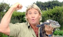 Animal Rights Group Slammed for Accusing Steve Irwin of ‘Harassing’ Stingray That Killed Him