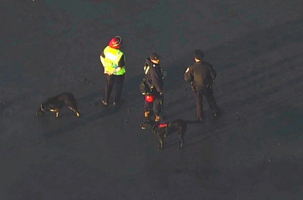 Rescuers with search dogs trying to find a person