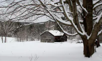 A Berkshire Journal: February Calls for Patience—Lots of It
