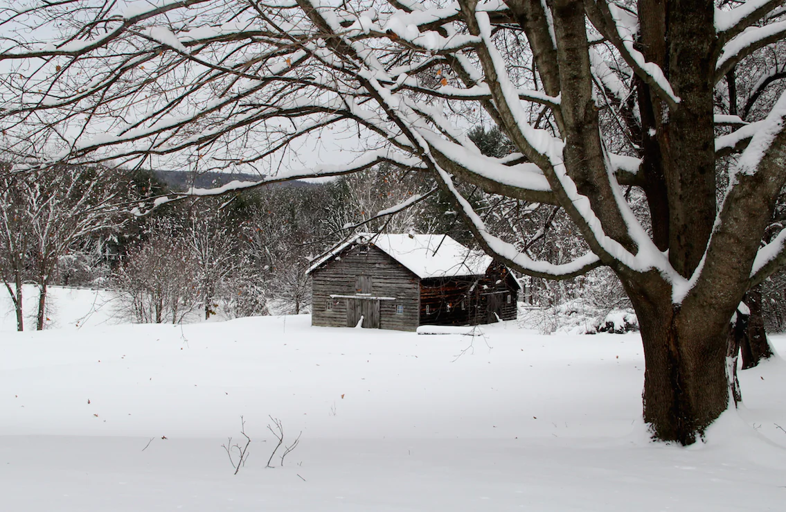 Late winter in the Northeast requires discipline. And humor. Humor is imperative. (Heidi McCarthy/Shutterstock)