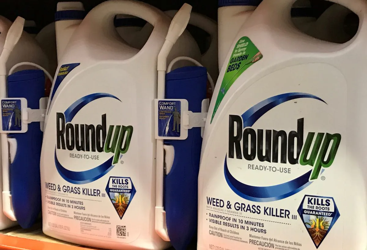 Monsanto's Roundup is shown for sale in Encinitas, California, on June 26, 2017. (Mike Blake/Reuters).