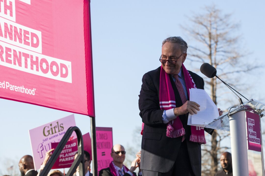 Senate Minority Leader Chuck Schumer speaks during a rally opposing attempts to defund Planned Parenthood on Capitol Hill on March 29, 2017. (Zach Gibson/Getty Images)
