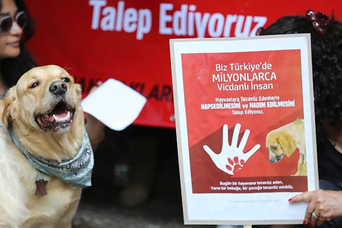 A picture shows a demonstrator holding a banner calling penalty for zoophilia, as a dog stands next to her during a demonstration in Ankara on June 10, 2018. (Adem Altan/AFP/Getty Images)