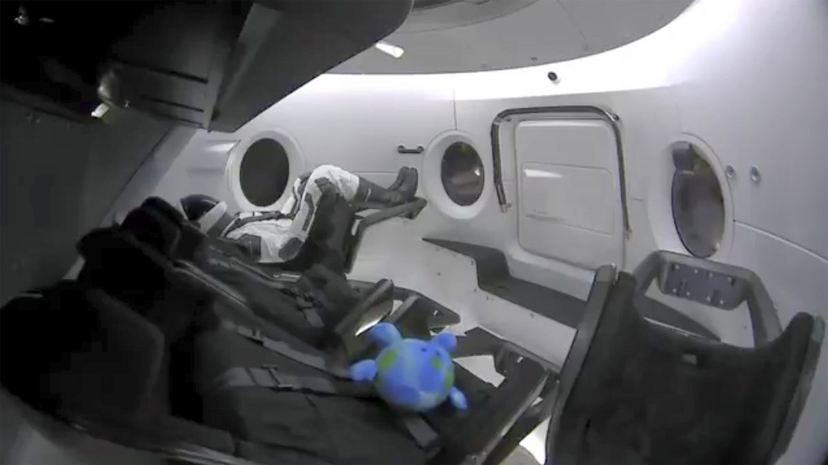 test dummy along with a toy that is floating in the Dragon capsule