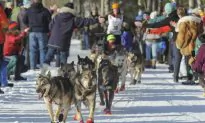 Big Crowds Cheer Kick Off of Alaska’s Famed Iditarod Race