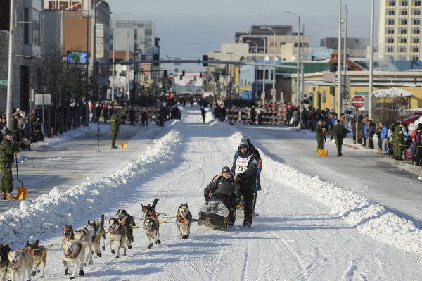 Alaska Dog Sled Race 14