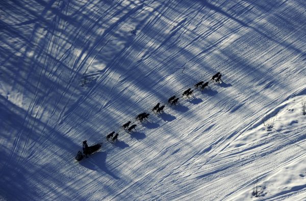 Alaska Sled Dog Race 4