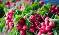 A Guide to Spring Produce