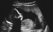 Liberal College Student Arrested For Allegedly Attacking Pro-Life Activist on UNC Campus
