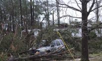Tornado Kills 23 in Alabama as Severe Storm Ravages Southeast