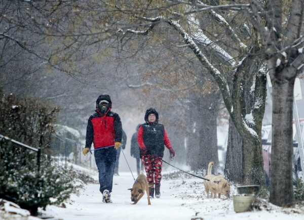 Kevin Britton, left, and his wife Amy Britton take their dogs for a walk