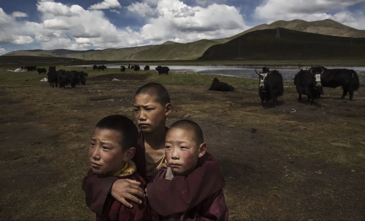 Young Tibetan Buddhist novice monks stand in the grasslands of their nomadic camp on the Tibetan Plateau in Madou County, Qinghai Province, China on July 24, 2015. (Kevin Frayer/Getty Images)