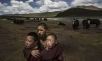 Tibetan Government in Exile Says Chinese Communist Party’s ‘Draconian’ Zero-COVID Measures Endangering Lives