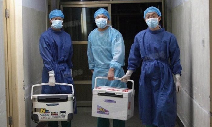 Doctors carry fresh organs for transplant at a hospital in Henan Province, China, on Aug. 16, 2012. (Screenshot via Sohu.com)