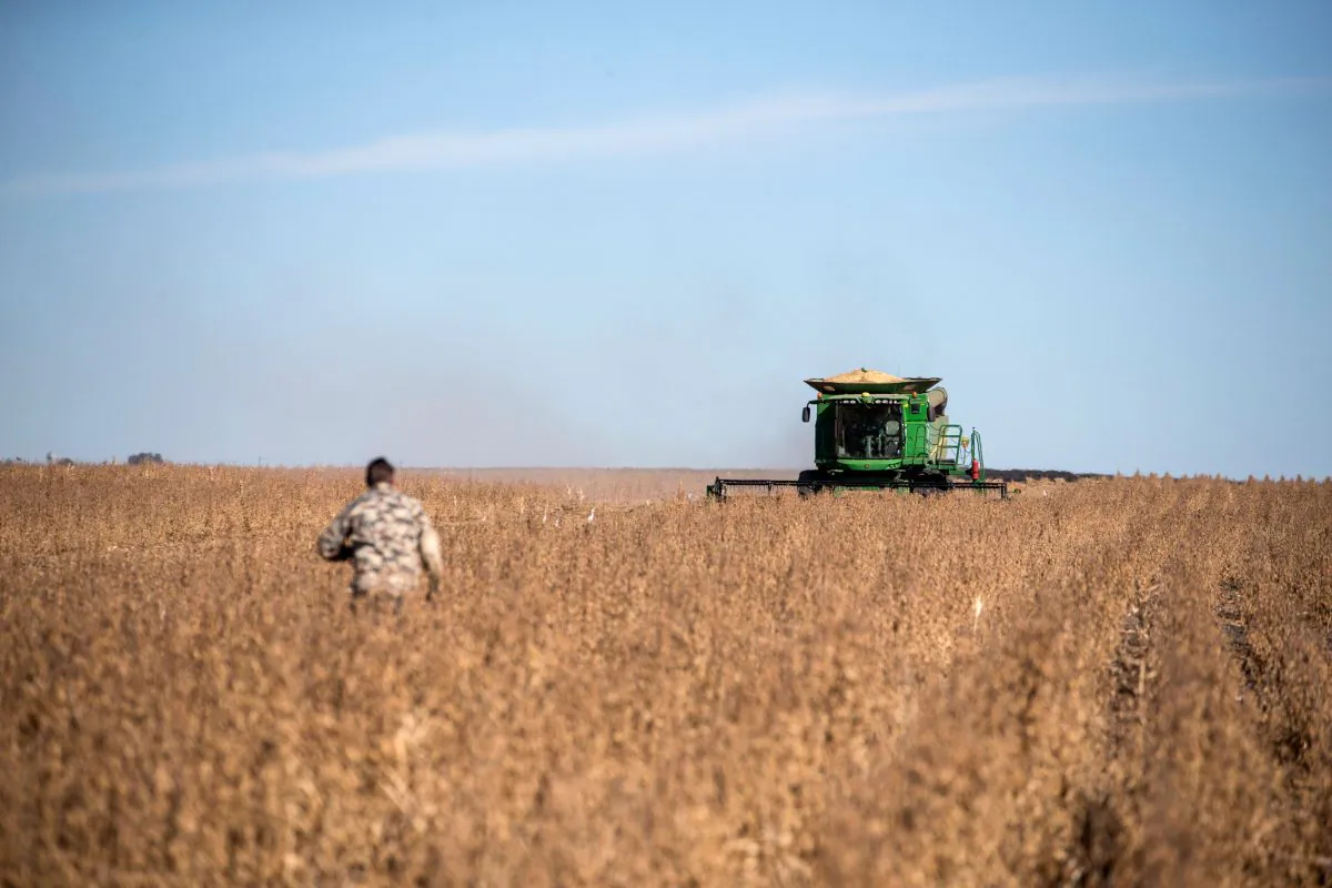 A farmer walks in a soya bean field toward the combine harvester near Bothaville, South Africa, on May 16, 2018. (Wikis De Wet/AFP/Getty Images)