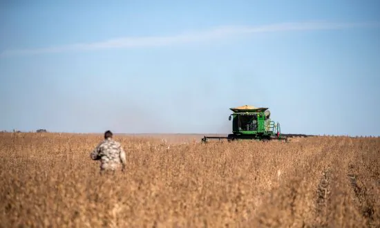 South Africa Resistance Mounts Against Land Expropriation as Election Day Looms