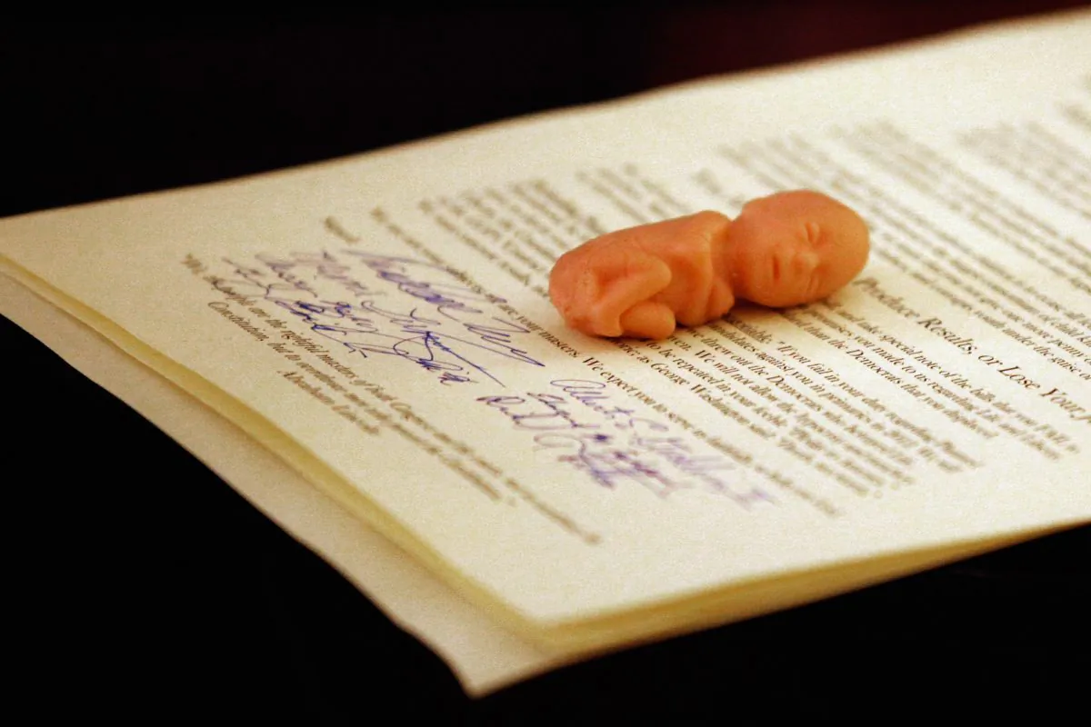 A plastic figure of an unborn child sits atop a declaration delivered to Congress on November 5, 2010 in Washington, DC. (Chip Somodevilla/Getty Images)
