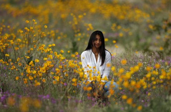 woman sits in field of wildflowers