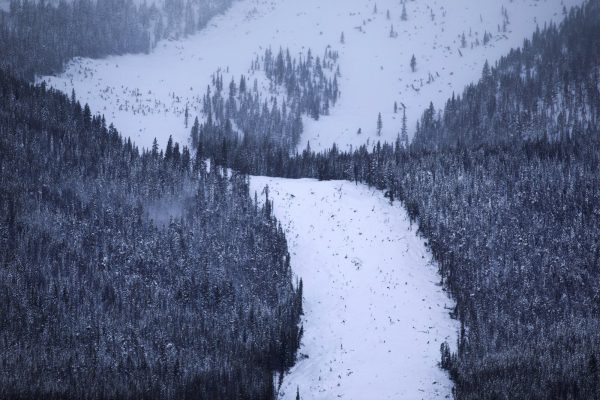 avalanche slide path