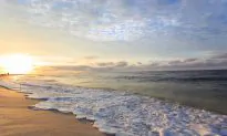 The Gulf Coast: Alabama’s Best Kept Secret